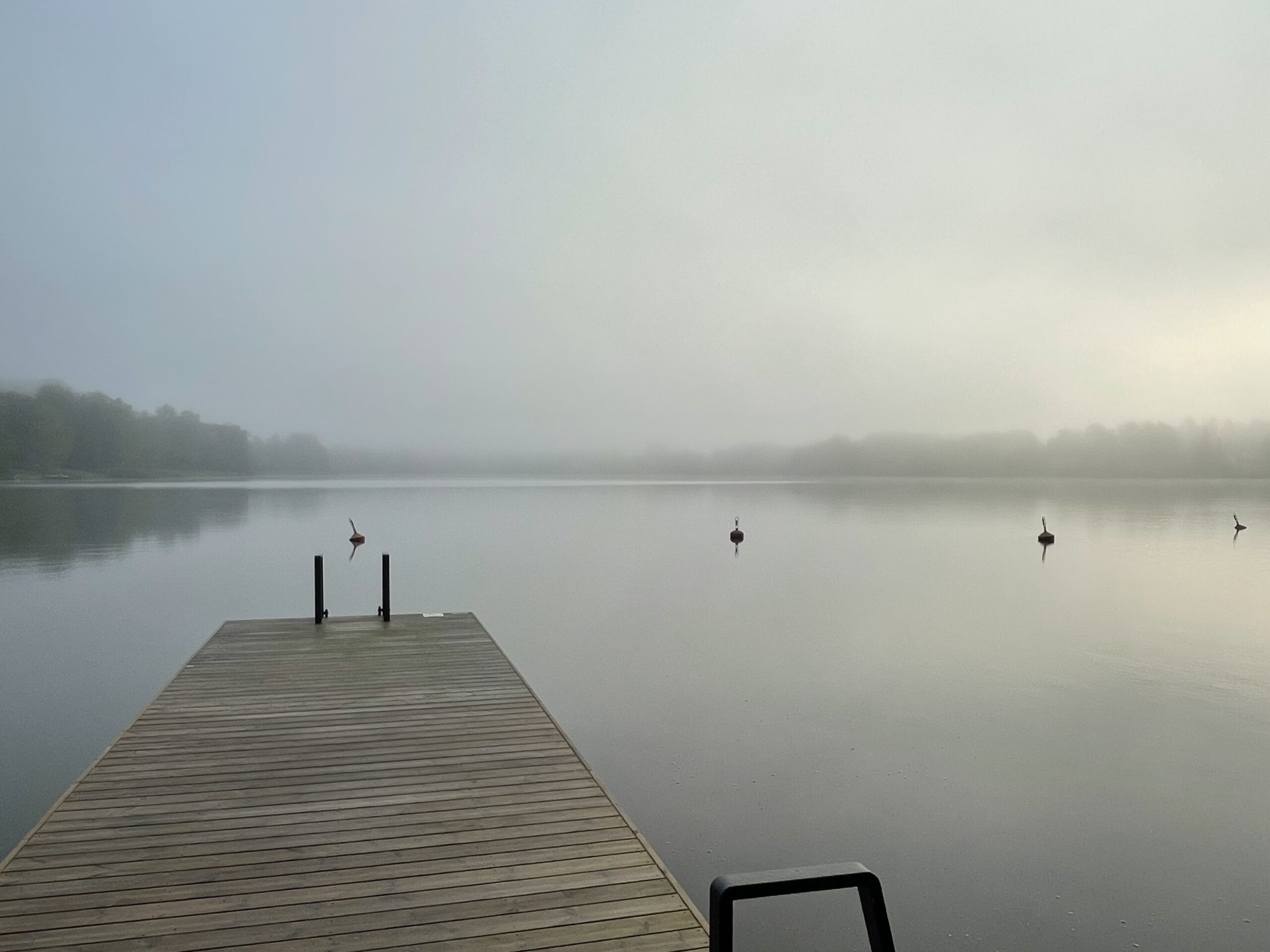 sumuinen aamu järvellä